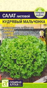 Зелень Салат Кудрявый Мальчонка/Сем Алт/цп 0,5 гр.