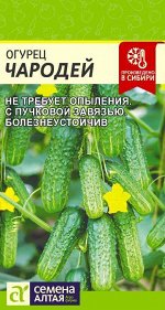 Огурец Чародей F1/Сем Алт/цп 6 шт.