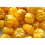 Тыква искусственная 3,5 см, 5шт