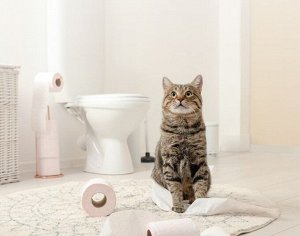 Наполнитель Power Cat Tofu Cat Litter / 6 л
