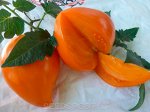 Томат Немецкая оранжевая клубника