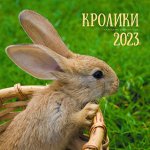 Символ года. 1 (20)
