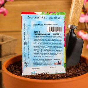 Семена цветов Астра пионовидная, смесь, 0.2 г