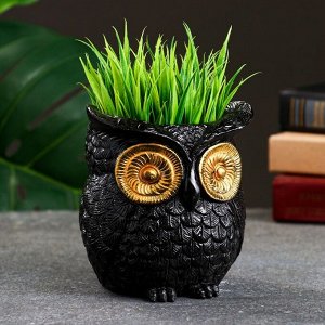Фигурное кашпо для цветов «Совушка», 250 мл, 11x10x10 см, гипс, чёрное