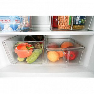 Контейнер для холодильника RICCO, 29?20,5?15,5 см, цвет прозрачный