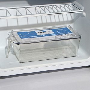 Контейнер для холодильника с крышкой и ручкой RICCO, 32?14,5?10 см, цвет прозрачный