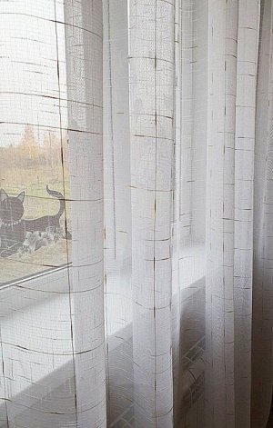Лён Штрихи, золото, Ширина: 2,0м