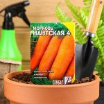 Семена Морковь &quot;Нантская 4&quot;, 2 г