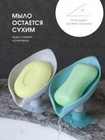 МЫЛЬНИЦА СО СЛИВОМ ЛЕПЕСТОК