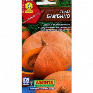 Бамбино А тыква