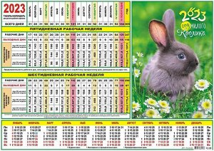 Табель-календарь на 2023 год"Символ года Кролик"