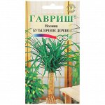 Нолина Бутылочное дерево 3 шт Г