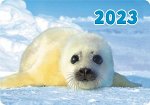 Карманный календарь на 2023 год &quot;Дикие животные&quot;