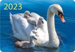 Карманный календарь на 2023 год &quot;Дикие животные&quot;