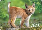 Карманный календарь на 2023 год &quot;Дикие животные&quot;