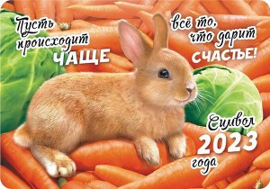 Карманный календарь на 2023 год "Символ года - Кролик"