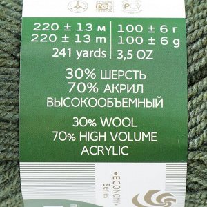 Пряжа "Народная" 30% шерсть, 70% акрил объёмный 220м/100гр (117-Киви)
