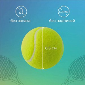 Набор теннисных мячиков (Мячи для большого тенниса. 3 шт)