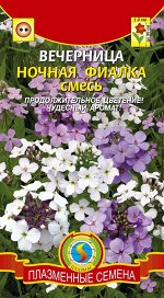 Вечерница Ночная фиалка смесь Плазма