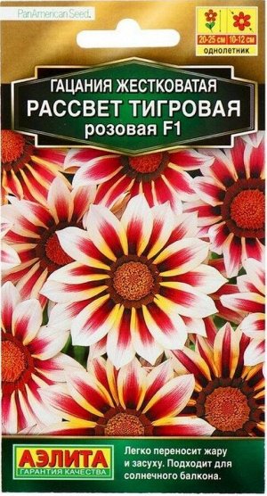 Гацания Рассвет F1 тигровая розовая А