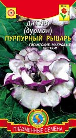 Датура (Дурман) Пурпурный рыцарь 3шт Плазма