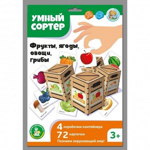 Настольная развивающая игра «Умный сортер «Фрукты, ягоды, овощи, грибы»