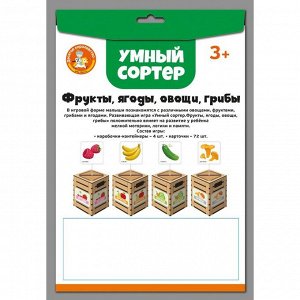 Настольная развивающая игра «Умный сортер «Фрукты, ягоды, овощи, грибы»