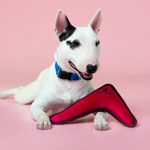 Игрушка Mr.Kranch для собак мелких и средних пород Бумеранг с пищалкой 22х19х4,5см, розовый