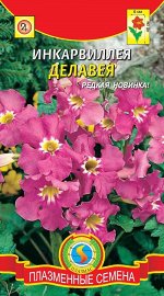 Инкарвиллея Делавея 9шт Плазмас
