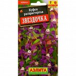Куфея Звездочка А
