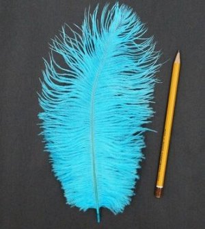Перо страуса голубое 25-29 см