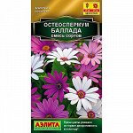 Остеоспермум Баллада,смесь сортов 10шт А