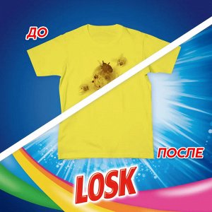 Losk Порошок для стирки Лоск Колор 2,7кг