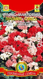 Флокс махровый Промис смесь 9шт Плазмас