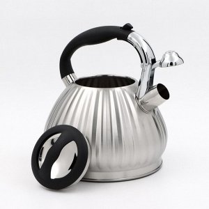 Чайник со свистком из нержавеющей стали «Ариве», 3,4 л, индукция