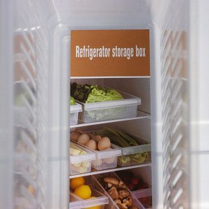 Контейнер для холодильника, 24,5?9,5?14 см, цвет прозрачный