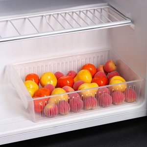 Контейнер для холодильника, 29х19,5х7 см, цвет прозрачный