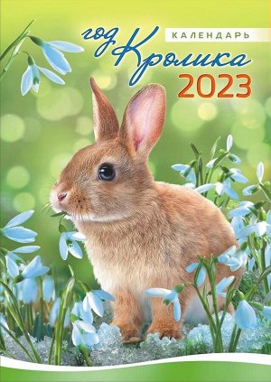 Перекидной настенный календарь на ригеле на 2023 год "Символ Года - Кролик"