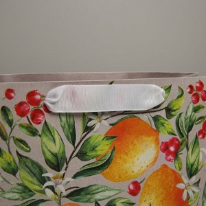 Пакет крафтовый подарочный «Лето», 22 x 17,5 x 8 см