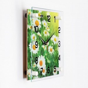 Часы настенные, серия: Цветы, "Ромашки", плавный ход, 25 х 25 см, стекло