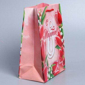 Пакет ламинированный горизонтальный «Краски весны», MS 18 x 23 x 8 см