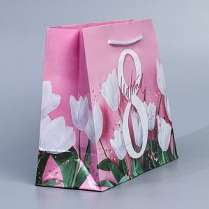 Пакет ламинированный горизонтальный «Тюльпаны», MS 18 ? 23 ? 8 см