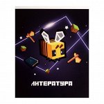 Тетрадь предметная Calligrata &quot;Пиксели&quot;, 36 листов в линию Литература, со справочным материалом, обложка мелованный картон, блок офсет