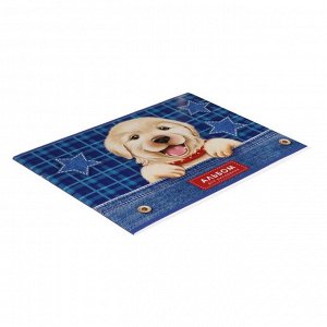 Альбом для рисования A4, 16 листов на скрепке "Собаки", обложка мелованный картон, блок 100 г/м2