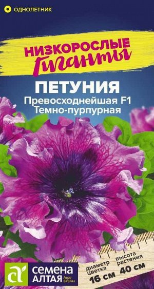 Цветы Петуния Превосходнейшая F1 Темно-пурпурная/Сем Алт/цп 7 шт. Низкорослые гиганты