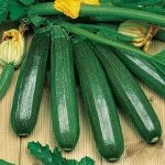 Кабачок цуккини Деликатес