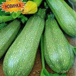 семена Кабачок Джеймс Бонд