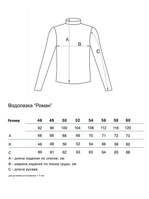 Роман-2 (джинс) водолазка мужск