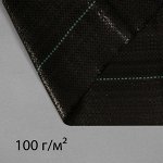 Агроткань застилочная, с разметкой, 10 ? 3,2 м, плотность 100 г/м?, полипропилен, чёрная