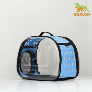 Переноска для животных прозрачная, 42x32x28 см, голубая